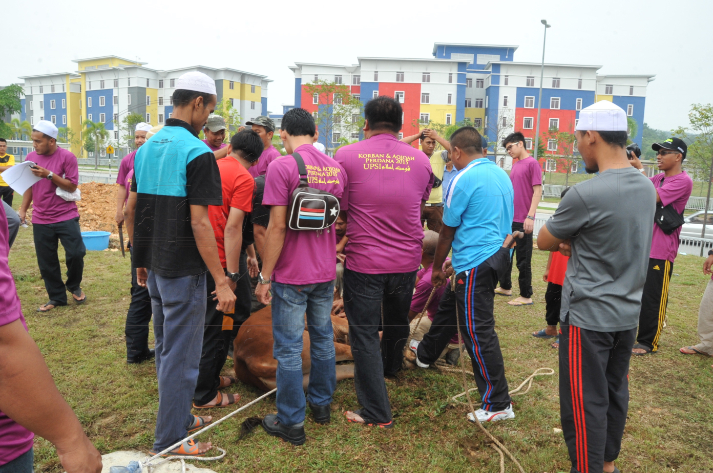 PRO15 150 KORBAN HAS 6839